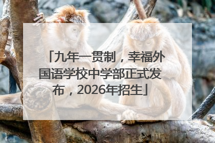 九年一贯制，幸福外国语学校中学部正式发布，2026年招生