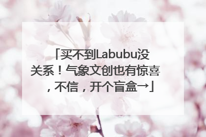 买不到Labubu没关系！气象文创也有惊喜，不信，开个盲盒→
