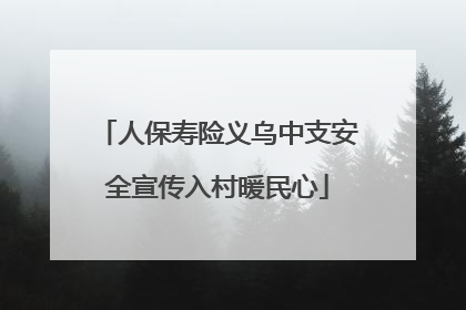 人保寿险义乌中支安全宣传入村暖民心