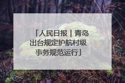 人民日报｜青岛出台规定护航村级事务规范运行