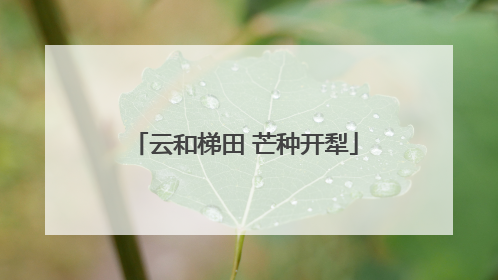 云和梯田 芒种开犁