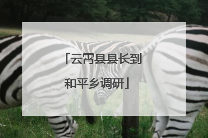 云霄县县长到和平乡调研