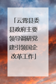 云霄县委县政府主要领导调研党建引领国企改革工作