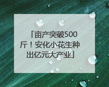 亩产突破500斤！安化小花生种出亿元大产业