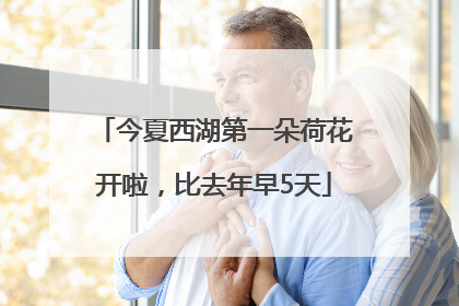 今夏西湖第一朵荷花开啦，比去年早5天