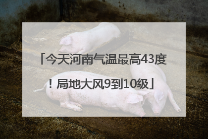 今天河南气温最高43度！局地大风9到10级
