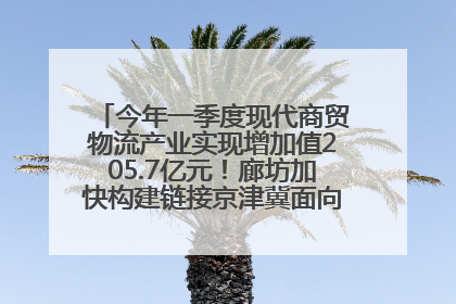 今年一季度现代商贸物流产业实现增加值205.7亿元！廊坊加快构建链接京津冀面向全世界的物流通道