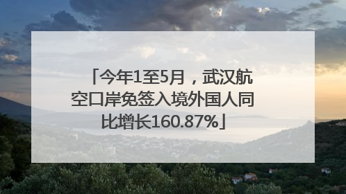 今年1至5月，武汉航空口岸免签入境外国人同比增长160.87%