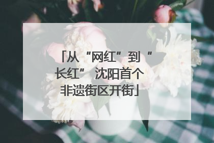 从“网红”到“长红” 沈阳首个非遗街区开街