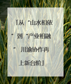 从“山水相依”到“产业相融” 川渝协作再上新台阶