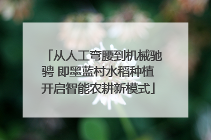 从人工弯腰到机械驰骋 即墨蓝村水稻种植开启智能农耕新模式