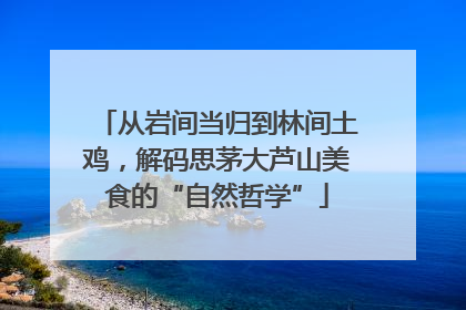 从岩间当归到林间土鸡，解码思茅大芦山美食的“自然哲学”