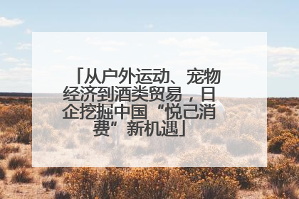 从户外运动、宠物经济到酒类贸易，日企挖掘中国“悦己消费”新机遇