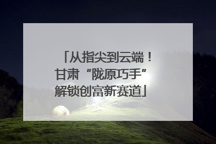 从指尖到云端！甘肃“陇原巧手”解锁创富新赛道