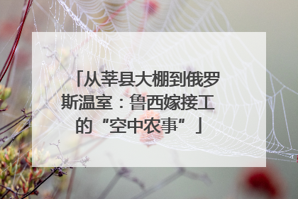 从莘县大棚到俄罗斯温室：鲁西嫁接工的“空中农事”