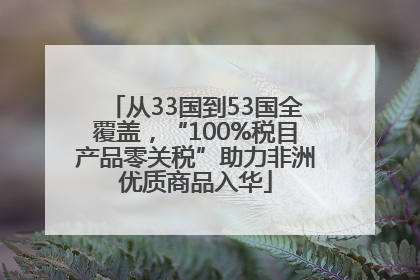 从33国到53国全覆盖，“100%税目产品零关税”助力非洲优质商品入华
