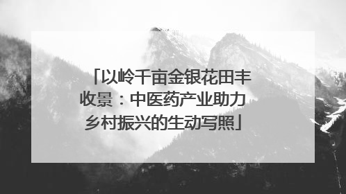 以岭千亩金银花田丰收景：中医药产业助力乡村振兴的生动写照
