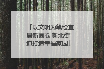 以文明为笔绘宜居新画卷 新北街道打造幸福家园