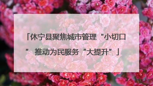 休宁县聚焦城市管理“小切口” 推动为民服务“大提升”