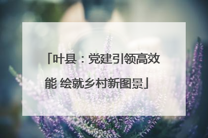 叶县：党建引领高效能 绘就乡村新图景