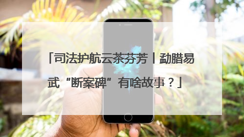 司法护航云茶芬芳丨勐腊易武“断案碑”有啥故事？