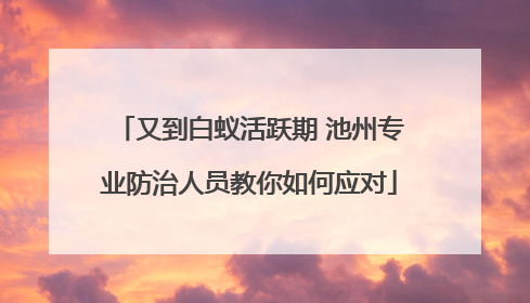 又到白蚁活跃期 池州专业防治人员教你如何应对
