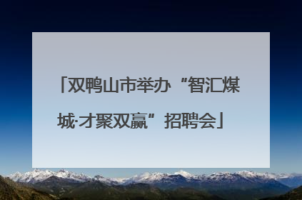双鸭山市举办“智汇煤城·才聚双赢”招聘会