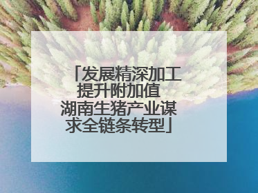 发展精深加工 提升附加值 湖南生猪产业谋求全链条转型