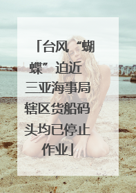 台风“蝴蝶”迫近 三亚海事局辖区货船码头均已停止作业