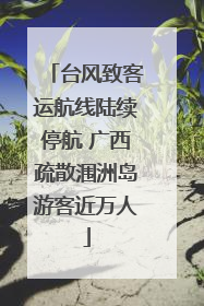 台风致客运航线陆续停航 广西疏散涠洲岛游客近万人