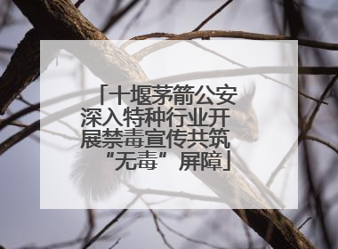十堰茅箭公安深入特种行业开展禁毒宣传共筑“无毒”屏障