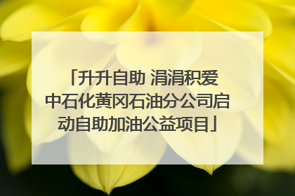 升升自助 涓涓积爱 中石化黄冈石油分公司启动自助加油公益项目