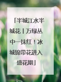 半城江水半城花丨万绿丛中一抹红！冰城锦带花进入盛花期
