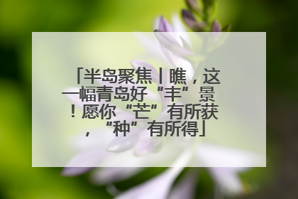 半岛聚焦丨瞧，这一幅青岛好“丰”景！愿你“芒”有所获，“种”有所得