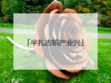 半扎古镇产业兴