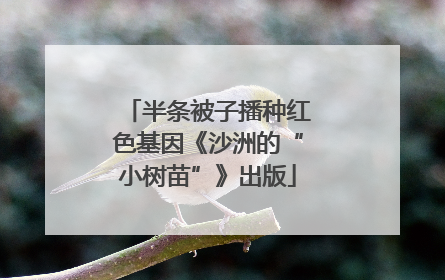 半条被子播种红色基因《沙洲的“小树苗”》出版
