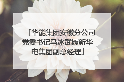 华能集团安徽分公司党委书记马冰武履新华电集团副总经理