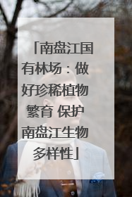 南盘江国有林场：做好珍稀植物繁育 保护南盘江生物多样性