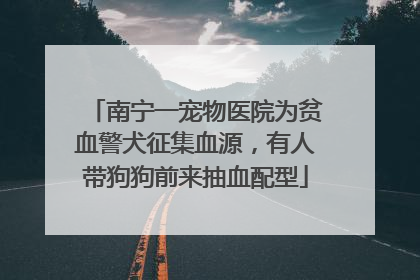 南宁一宠物医院为贫血警犬征集血源，有人带狗狗前来抽血配型