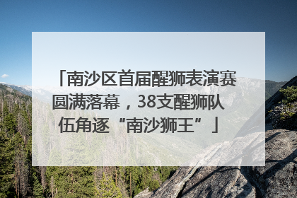 南沙区首届醒狮表演赛圆满落幕，38支醒狮队伍角逐“南沙狮王”