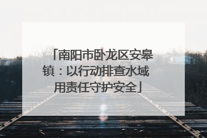 南阳市卧龙区安皋镇：以行动排查水域 用责任守护安全