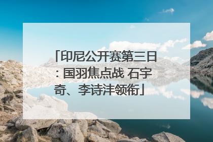 印尼公开赛第三日：国羽焦点战 石宇奇、李诗沣领衔
