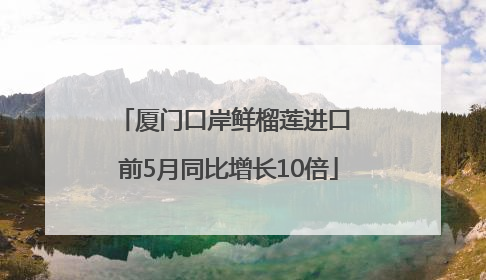 厦门口岸鲜榴莲进口 前5月同比增长10倍