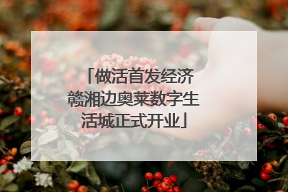 做活首发经济 赣湘边奥莱数字生活城正式开业