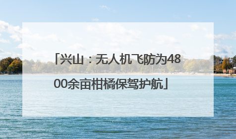 兴山：无人机飞防为4800余亩柑橘保驾护航