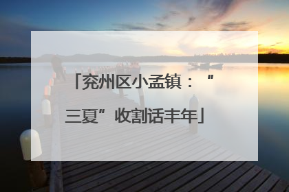 兖州区小孟镇：“三夏”收割话丰年