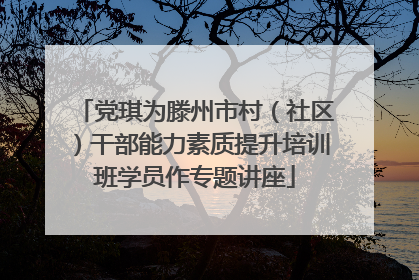 党琪为滕州市村（社区）干部能力素质提升培训班学员作专题讲座