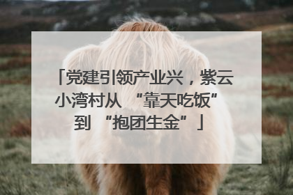 党建引领产业兴，紫云小湾村从 “靠天吃饭” 到 “抱团生金”