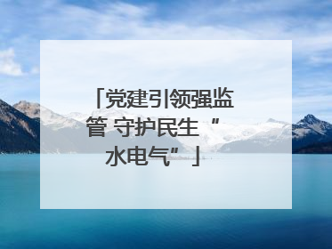 党建引领强监管 守护民生“水电气”