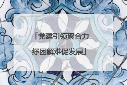 党建引领聚合力 纾困解难促发展